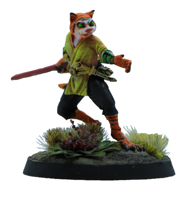 Dice Addiction & Starworld Present Mini & a Move Catfolk Monk