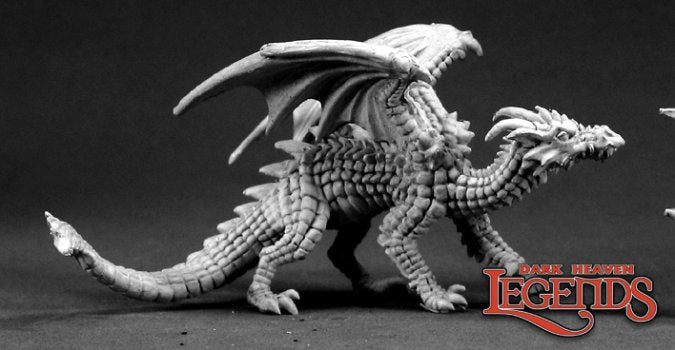 Young Fire Dragon