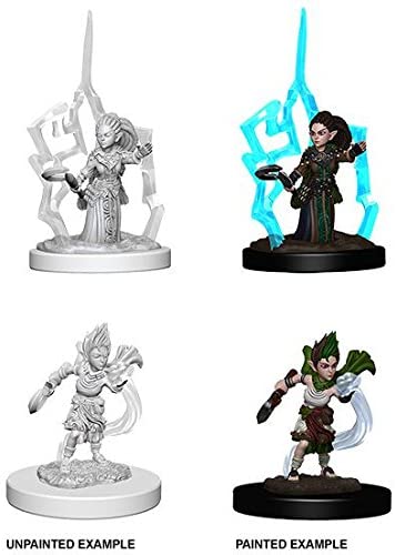 Pathfinder BattlesTM Deep CutsTM Unpainted Miniatures: Gnome Female Druid