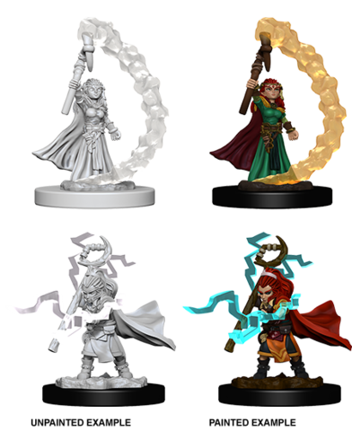 Pathfinder BattlesTM Deep CutsTM Unpainted Miniatures: Gnome Female Sorcerer