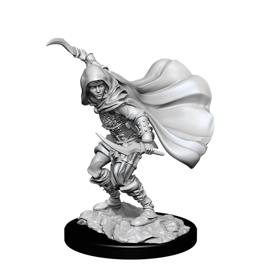 Pathfinder Deepcuts: Human Rogue Female