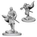 D&D Nolzur’s Marvelous Miniatures: Vampires