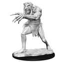 D&D Nolzur’s Marvelous Miniatures: Troll