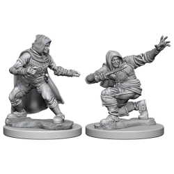Pathfinder Deep CutsTM Unpainted Miniatures: Human Male Rogue