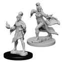 Pathfinder Deep CutsTM Unpainted Miniatures: Elf Female Sorcerer