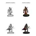 Pathfinder BattlesTM Deep CutsTM Unpainted Miniatures: Human Female Bard