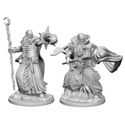 D&D Nolzur’s Marvelous Miniatures: Human Male Wizard