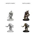 D&D Nolzur's Marvelous Miniatures - Human Male Paladin