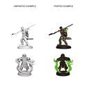 D&D Nolzur's Marvelous Miniatures - Human Male Druid