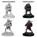 D&D Nolzur's Marvelous Miniatures - Drow
