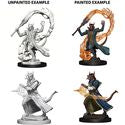 D&D Nolzur's Marvelous Miniatures - Tiefling Male Sorcerer