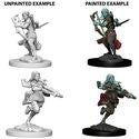 D&D Nolzur's Marvelous Miniatures - Air Genasi Female Rogue