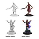 D&D® Nolzur's Marvelous Miniatures: Male Tiefling Warlock