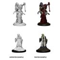 D&D® Nolzur's Marvelous Miniatures: Green Hag & Night Hag