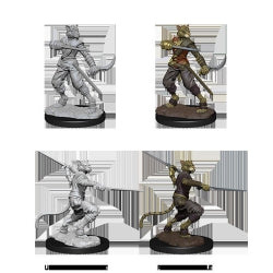 D&D® Nolzur's Marvelous Miniatures - Male Tabaxi Rogue