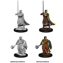 D&D® Nolzur's Marvelous Miniatures - Male Human Cleric