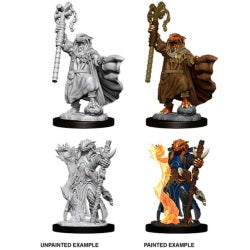 D&D® Nolzur's Marvelous Miniatures - Female Dragonborn Sorcerer