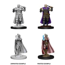 D&D® Nolzur's Marvelous Miniatures - Human Ranger & Moon Elf Sorcerer