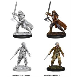 D&D® Nolzur's Marvelous Miniatures - Vampire Hunters