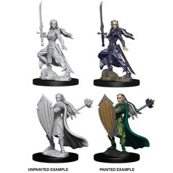 D&D® Nolzur's Marvelous Miniatures -  Female Elf Paladin