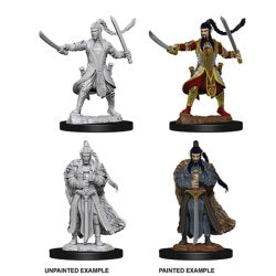 D&D® Nolzur's Marvelous Miniatures -  Male Elf Paladin