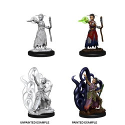 D&D® Nolzur's Marvelous Miniatures -  Female Human Warlock