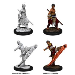 D&D® Nolzur's Marvelous Miniatures -  Male Half-Elf Monk