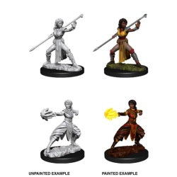 D&D® Nolzur's Marvelous Miniatures -  Female Half-Elf Monk