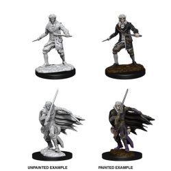 Pathfinder BattlesTM Deep CutsTM - Male Elf Rogue