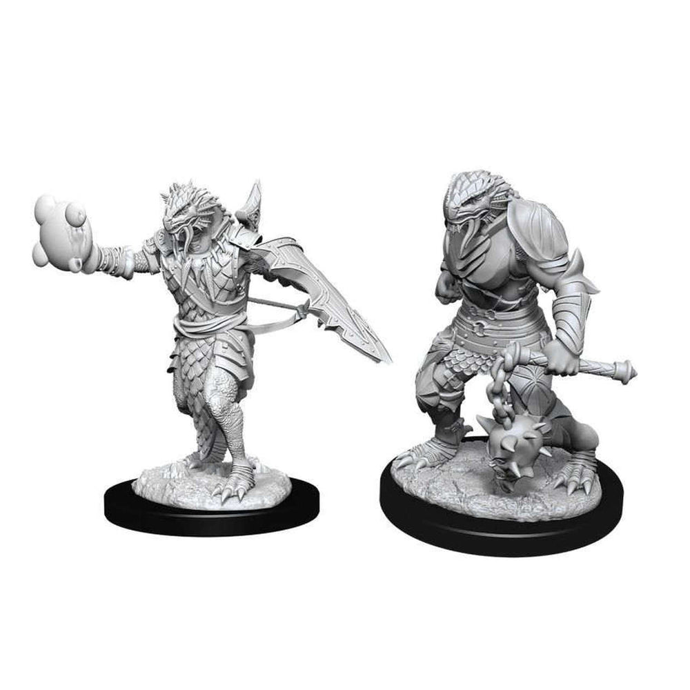 D&D Nolzur's Marvelous Miniatures - Dragonborn Male Paladin