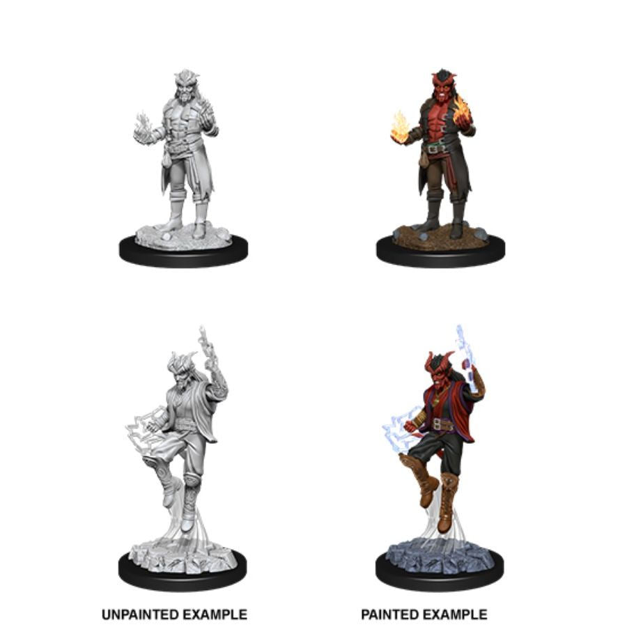 D&D Nolzur's Marvelous Miniatures: Male Tiefling Sorcerer