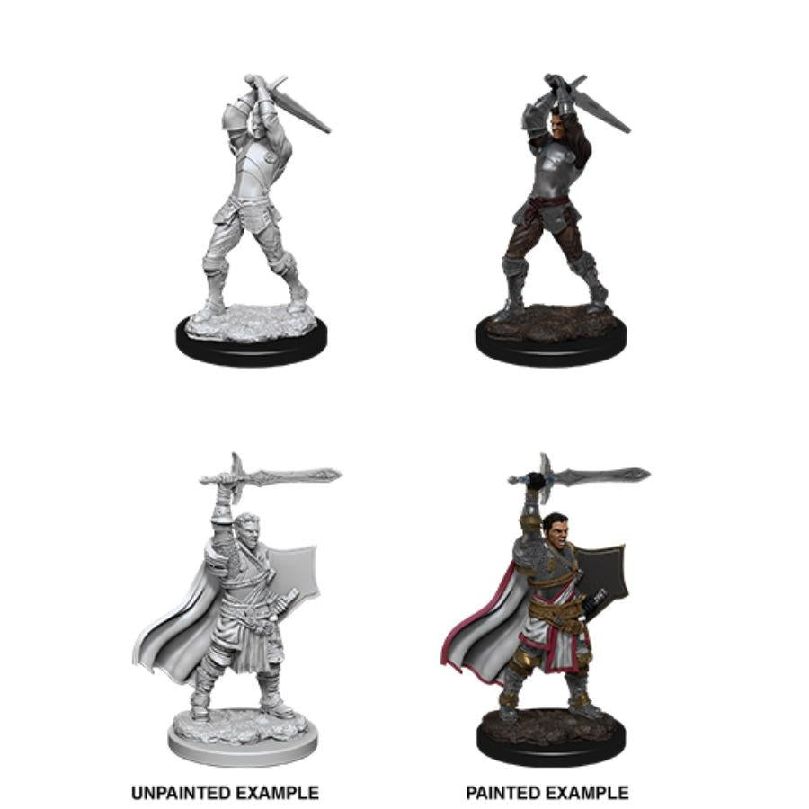 D&D Nolzur's Marvelous Miniatures: Male Human Paladin