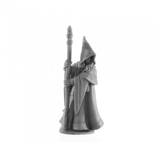 Anirion, Elf Wizard