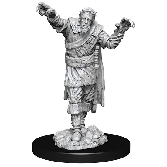 D&D Nolzur's Marvelous Miniatures: Scarecrow & Stone Cursed