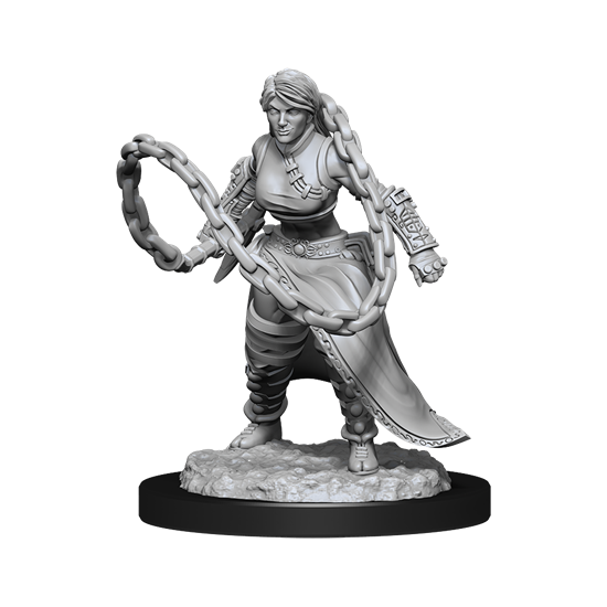 D&D Nolzur's Marvelous Miniatures: Human Monk  Female
