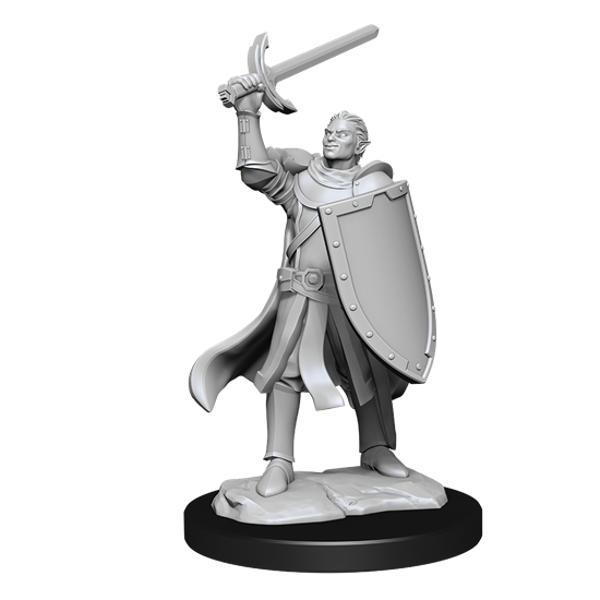 D&D Nolzur's Marvelous Miniatures: Half-Elf Paladin Male
