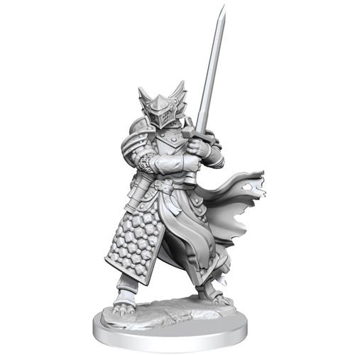 D&D Frameworks: Dragonborn Paladin Male