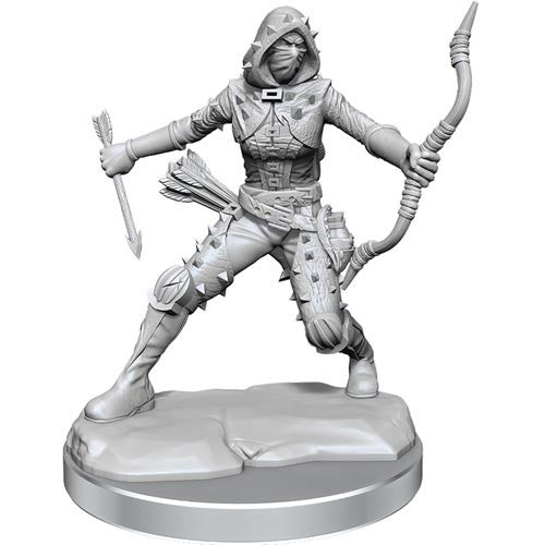 D&D Frameworks: Human Rogue Female